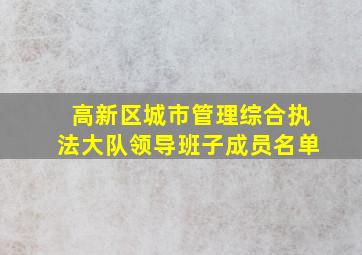 高新区城市管理综合执法大队领导班子成员名单