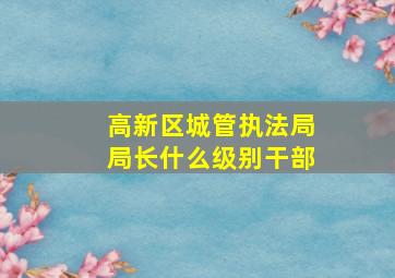 高新区城管执法局局长什么级别干部