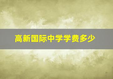 高新国际中学学费多少