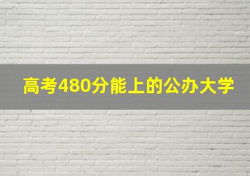 高考480分能上的公办大学