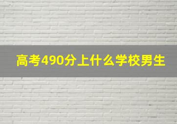 高考490分上什么学校男生