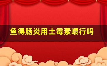 鱼得肠炎用土霉素喂行吗