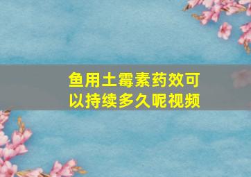 鱼用土霉素药效可以持续多久呢视频