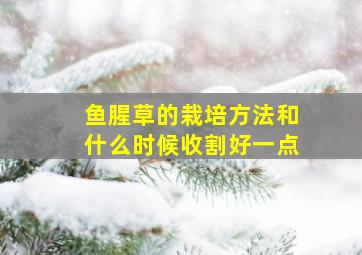 鱼腥草的栽培方法和什么时候收割好一点