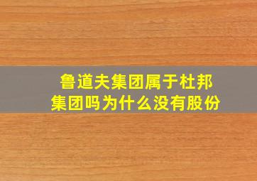 鲁道夫集团属于杜邦集团吗为什么没有股份