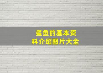 鲨鱼的基本资料介绍图片大全