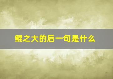 鲲之大的后一句是什么