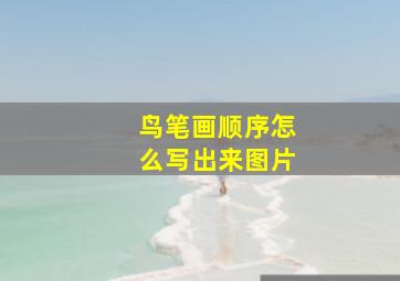 鸟笔画顺序怎么写出来图片