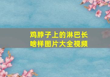 鸡脖子上的淋巴长啥样图片大全视频