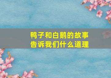 鸭子和白鹅的故事告诉我们什么道理