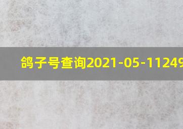 鸽子号查询2021-05-11249707