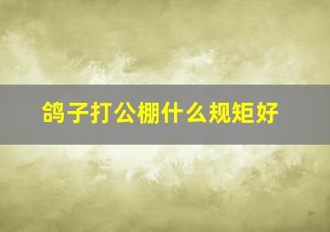 鸽子打公棚什么规矩好