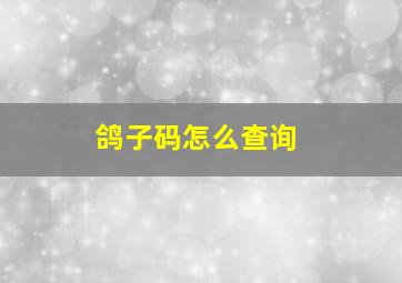 鸽子码怎么查询