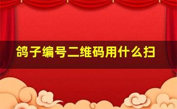 鸽子编号二维码用什么扫