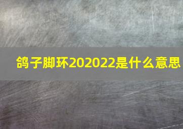 鸽子脚环202022是什么意思