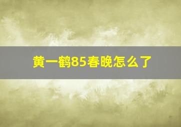 黄一鹤85春晚怎么了