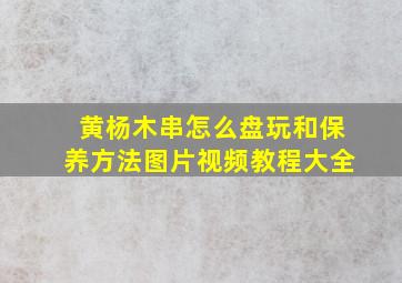 黄杨木串怎么盘玩和保养方法图片视频教程大全