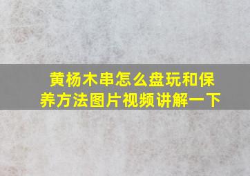 黄杨木串怎么盘玩和保养方法图片视频讲解一下