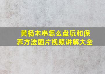 黄杨木串怎么盘玩和保养方法图片视频讲解大全