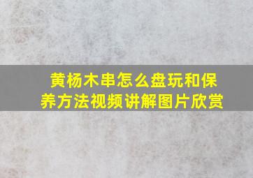 黄杨木串怎么盘玩和保养方法视频讲解图片欣赏