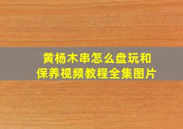 黄杨木串怎么盘玩和保养视频教程全集图片