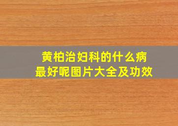 黄柏治妇科的什么病最好呢图片大全及功效