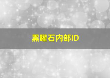 黑曜石内部ID