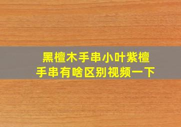 黑檀木手串小叶紫檀手串有啥区别视频一下