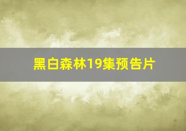 黑白森林19集预告片