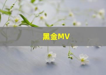 黑金MV