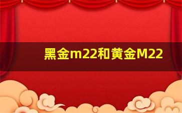 黑金m22和黄金M22