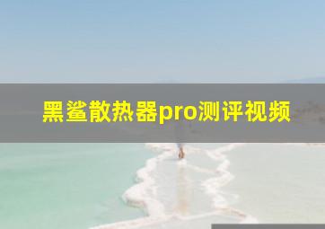 黑鲨散热器pro测评视频