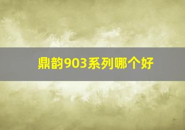 鼎韵903系列哪个好