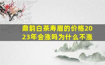 鼎韵白茶寿眉的价格2023年会涨吗为什么不涨