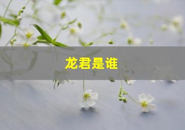 龙君是谁