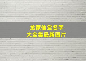 龙家仙堂名字大全集最新图片