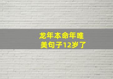 龙年本命年唯美句子12岁了