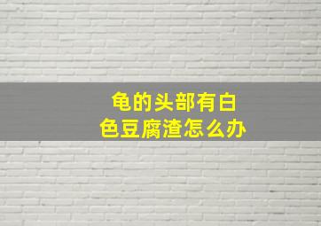 龟的头部有白色豆腐渣怎么办