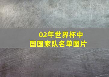 02年世界杯中国国家队名单图片