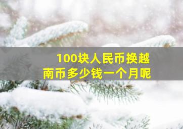 100块人民币换越南币多少钱一个月呢