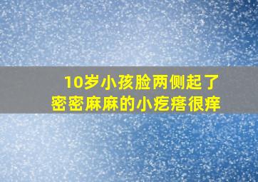 10岁小孩脸两侧起了密密麻麻的小疙瘩很痒