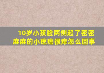 10岁小孩脸两侧起了密密麻麻的小疙瘩很痒怎么回事