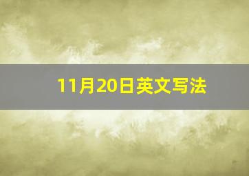 11月20日英文写法