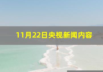 11月22日央视新闻内容