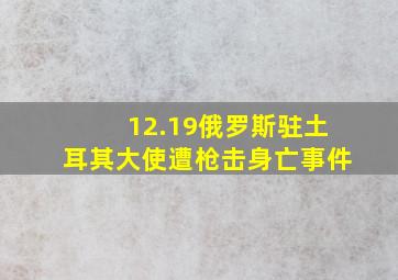 12.19俄罗斯驻土耳其大使遭枪击身亡事件