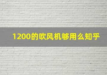 1200的吹风机够用么知乎