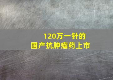 120万一针的国产抗肿瘤药上市