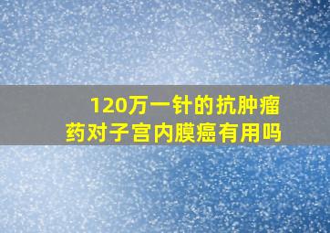 120万一针的抗肿瘤药对子宫内膜癌有用吗