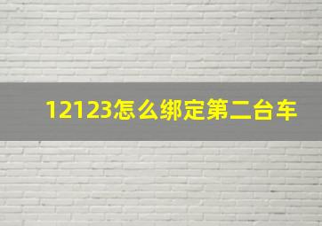 12123怎么绑定第二台车