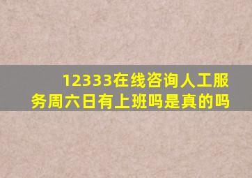 12333在线咨询人工服务周六日有上班吗是真的吗